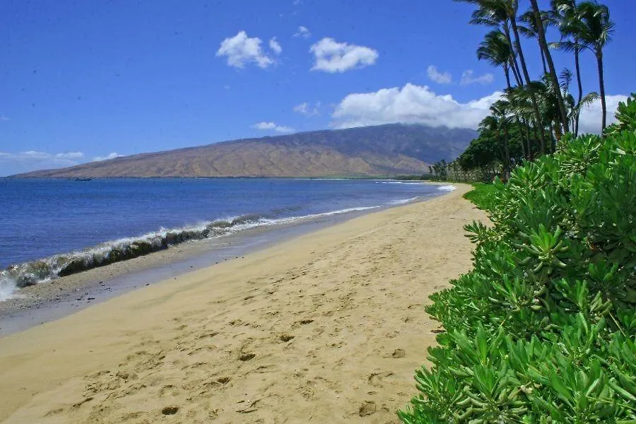 Kihei Beach, #405 Condo Apartment